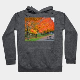 Picnic Table Hoodie